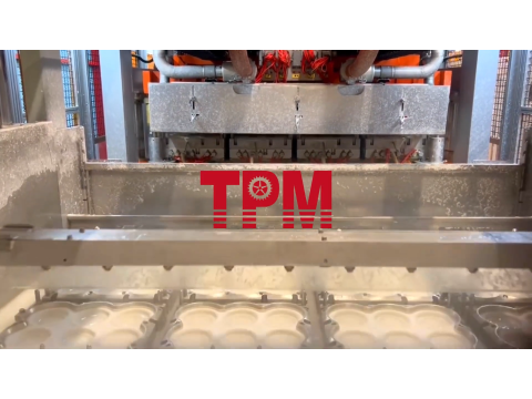 TPM Customized auto trimming system for cup lids (2024)